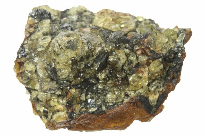 Brahin Pallasite Meteorite ( g) Fragment - Belarus #265702